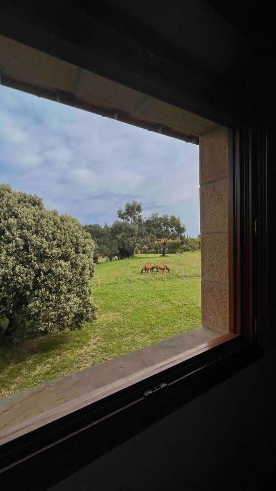 איברנגלו Villa Artegoikoaurdaibai Patrimonio De La Unesco מראה חיצוני תמונה